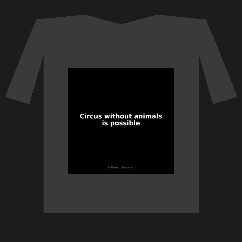 Circus without animals is possible